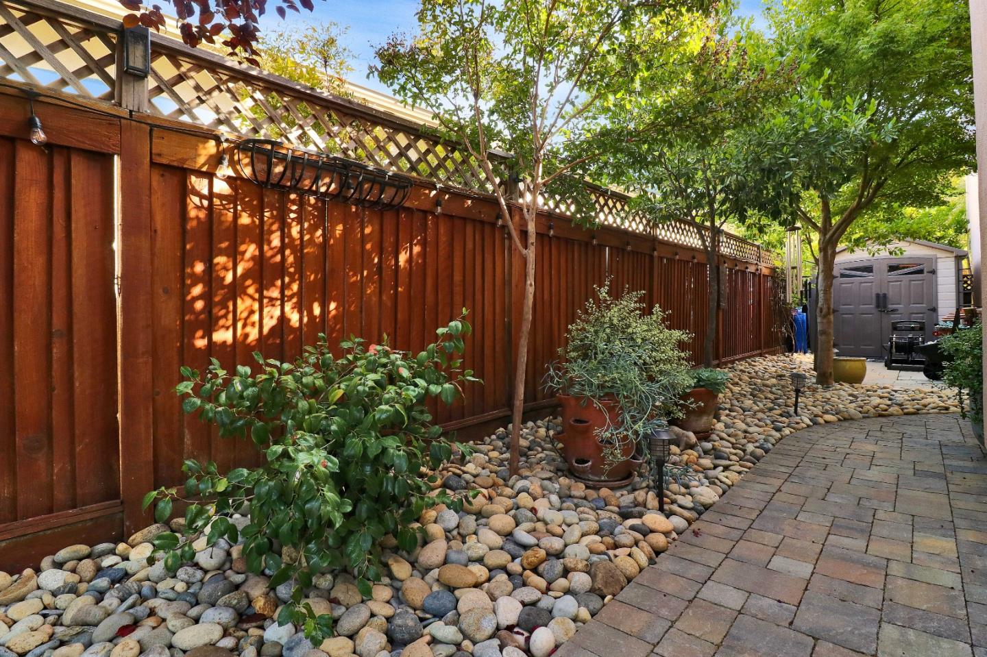 7120 Eagle Ridge Drive Gilroy, CA 95020 - Photo 20 of 21 a view of a backyard with potted plants and large tree