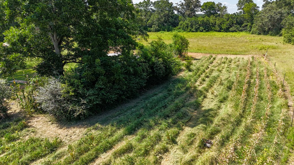 0 Main Street Headland, AL 36345 - Photo 6 of 12