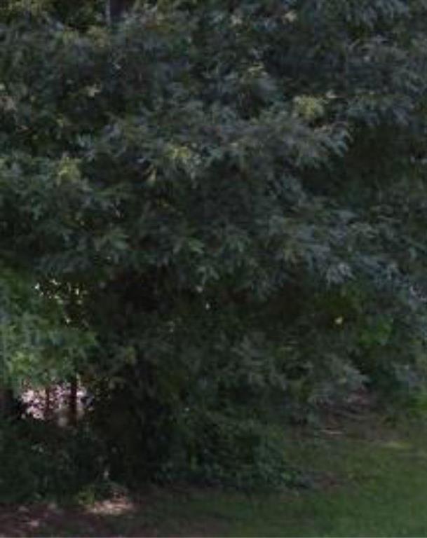 11005 Regents Court Hampton, GA 30228 - Photo 2 of 2