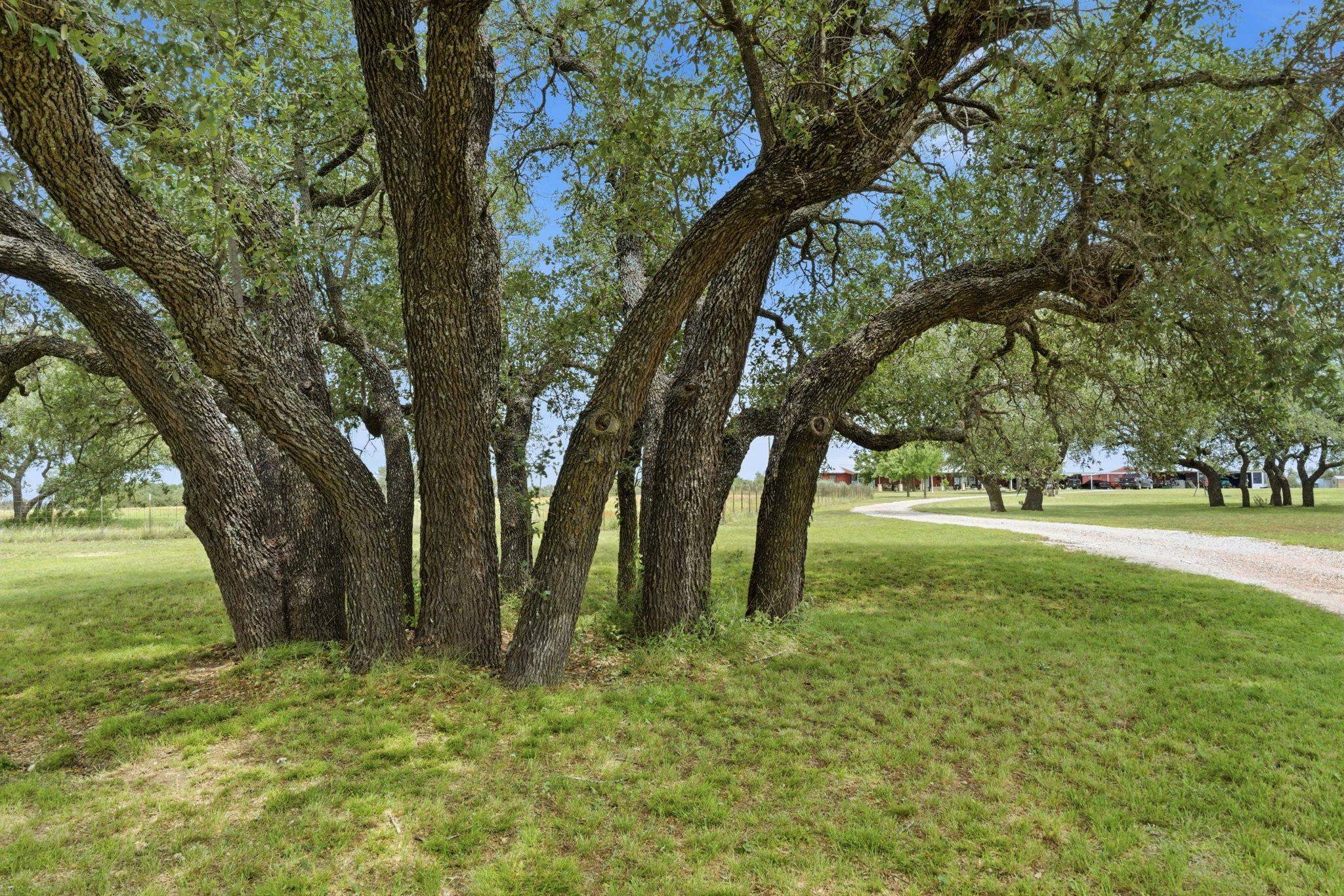 1360 Highway 84 Mullin, TX 76864 - Photo 5 of 44