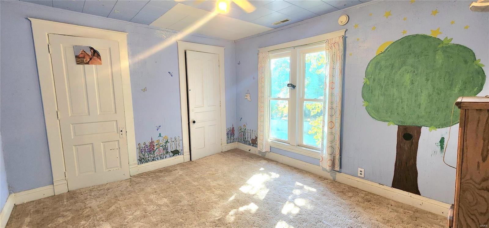 1100 George Street Chester, IL 62233 - Photo 29 of 48 Gallery Image 29