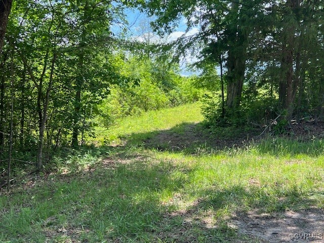 Tbd Tbd Boydton Plank Road Warfield, VA 23889 - Photo 2 of 9 a lush green forest with lots of trees