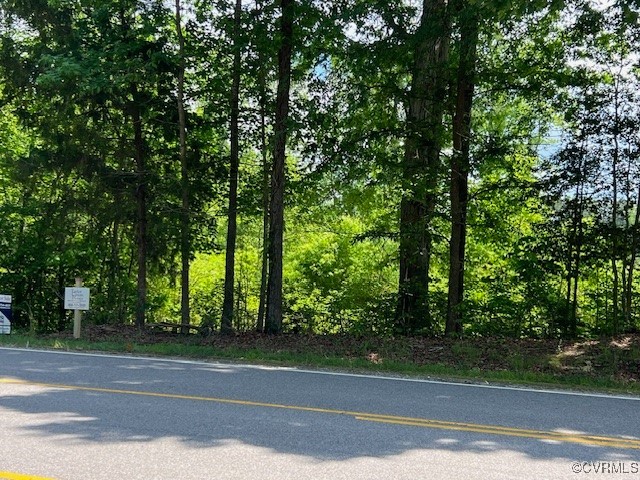 Tbd Tbd Boydton Plank Road Warfield, VA 23889 - Photo 3 of 9 a view of a yard