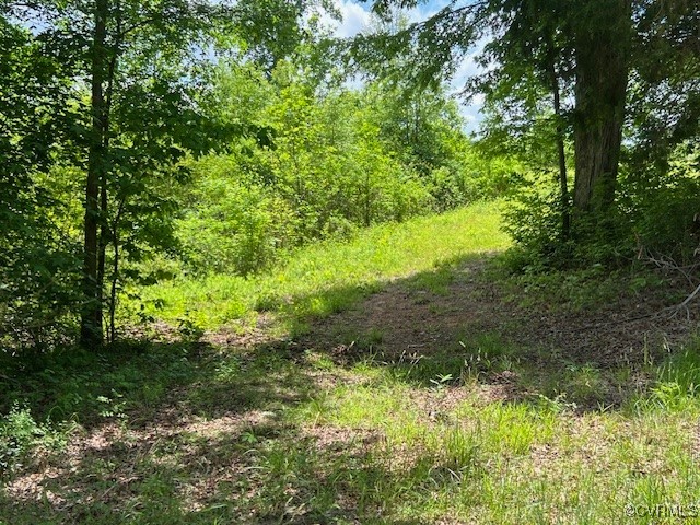 Tbd Tbd Boydton Plank Road Warfield, VA 23889 - Photo 5 of 9 a view of a lush green space
