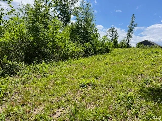 a view of a lush green space