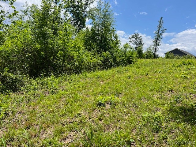 Tbd Tbd Boydton Plank Road Warfield, VA 23889 - Photo 6 of 9 a view of a garden