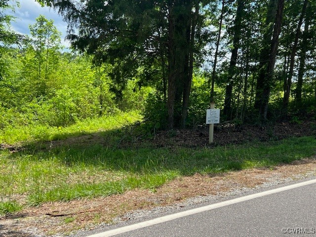 Tbd Tbd Boydton Plank Road Warfield, VA 23889 - Photo 7 of 9 a view of a garden with a lake view