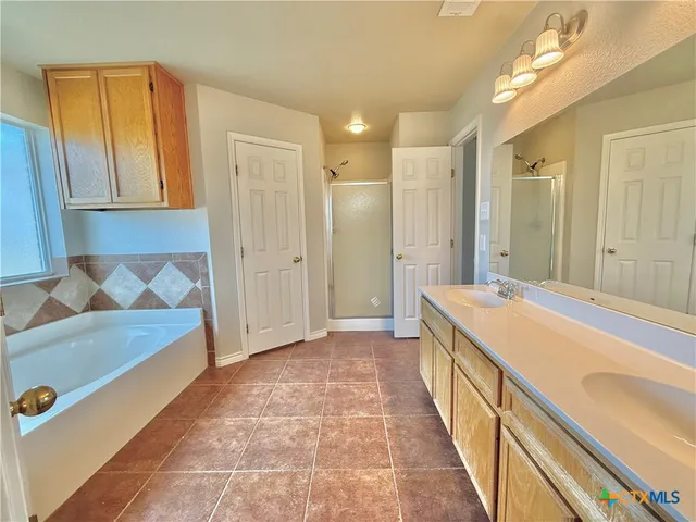 a bathroom with a tub sink and mirror