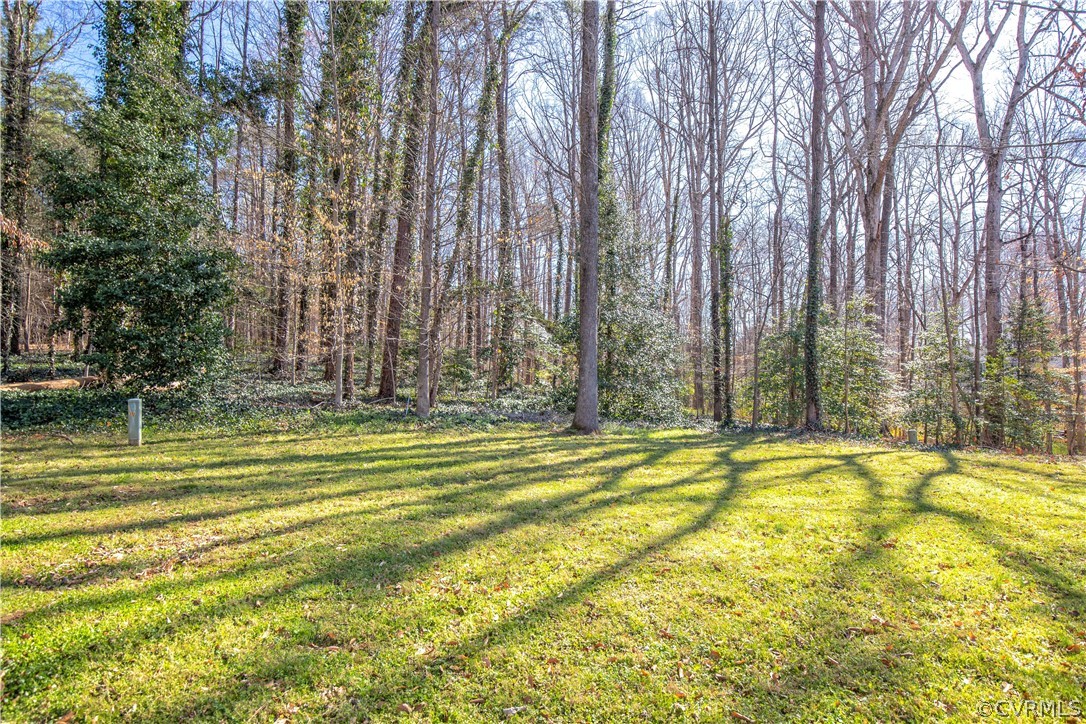 1321 Lockett Ridge Road Midlothian, VA 23114 - Photo 5 of 24 Gallery Image 5