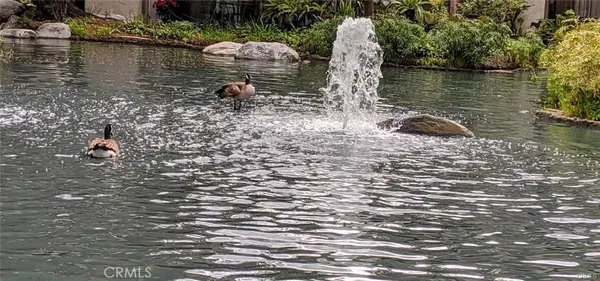 $639,000 | 4900 East Chapman Avenue, Unit 51, Orange, CA 92869