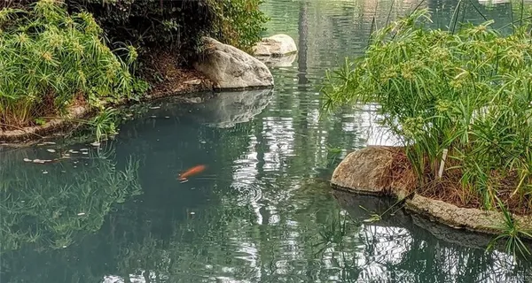 $639,000 | 4900 East Chapman Avenue, Unit 51, Orange, CA 92869