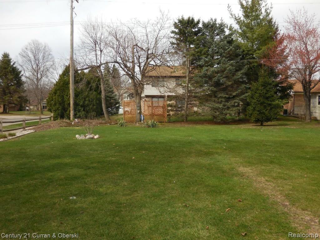 BACK YARD
