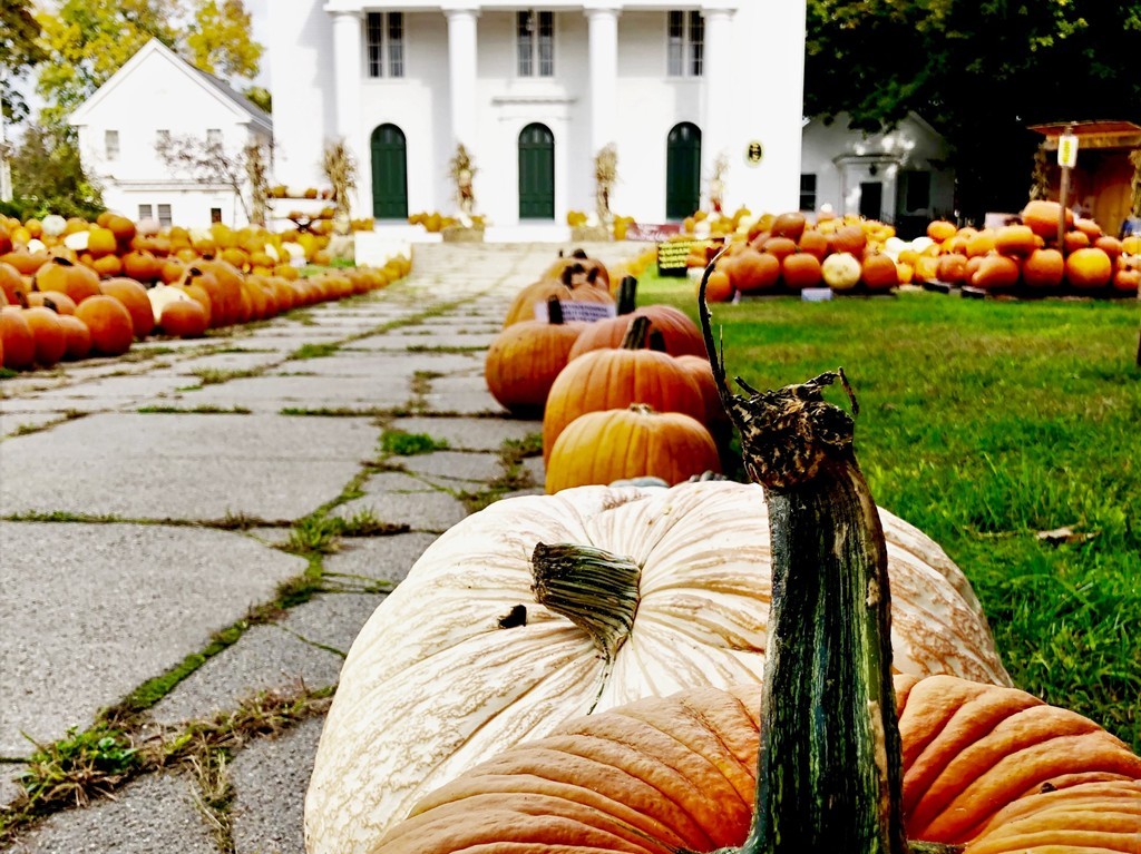 6 Atlantic View, Unit 6 Amesbury, MA 01913 - Photo 41 of 42 a outdoor space with furniture and garden