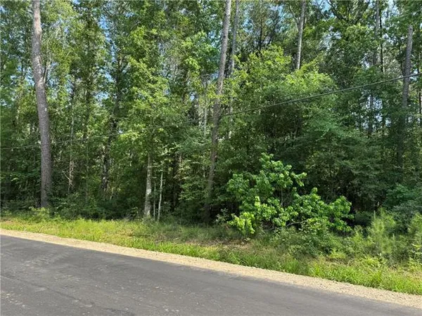 $40,000 | 1 A Lower Rome Road, Springfield, LA 70462