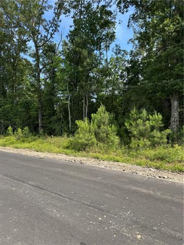 1 A Lower Rome Road Springfield, LA 70462 - Photo 16 of 19