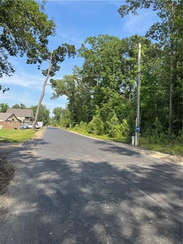 1 A Lower Rome Road Springfield, LA 70462 - Photo 7 of 19