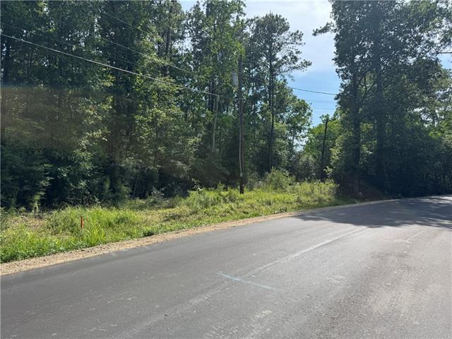 1 A Lower Rome Road Springfield, LA 70462 - Photo 9 of 19