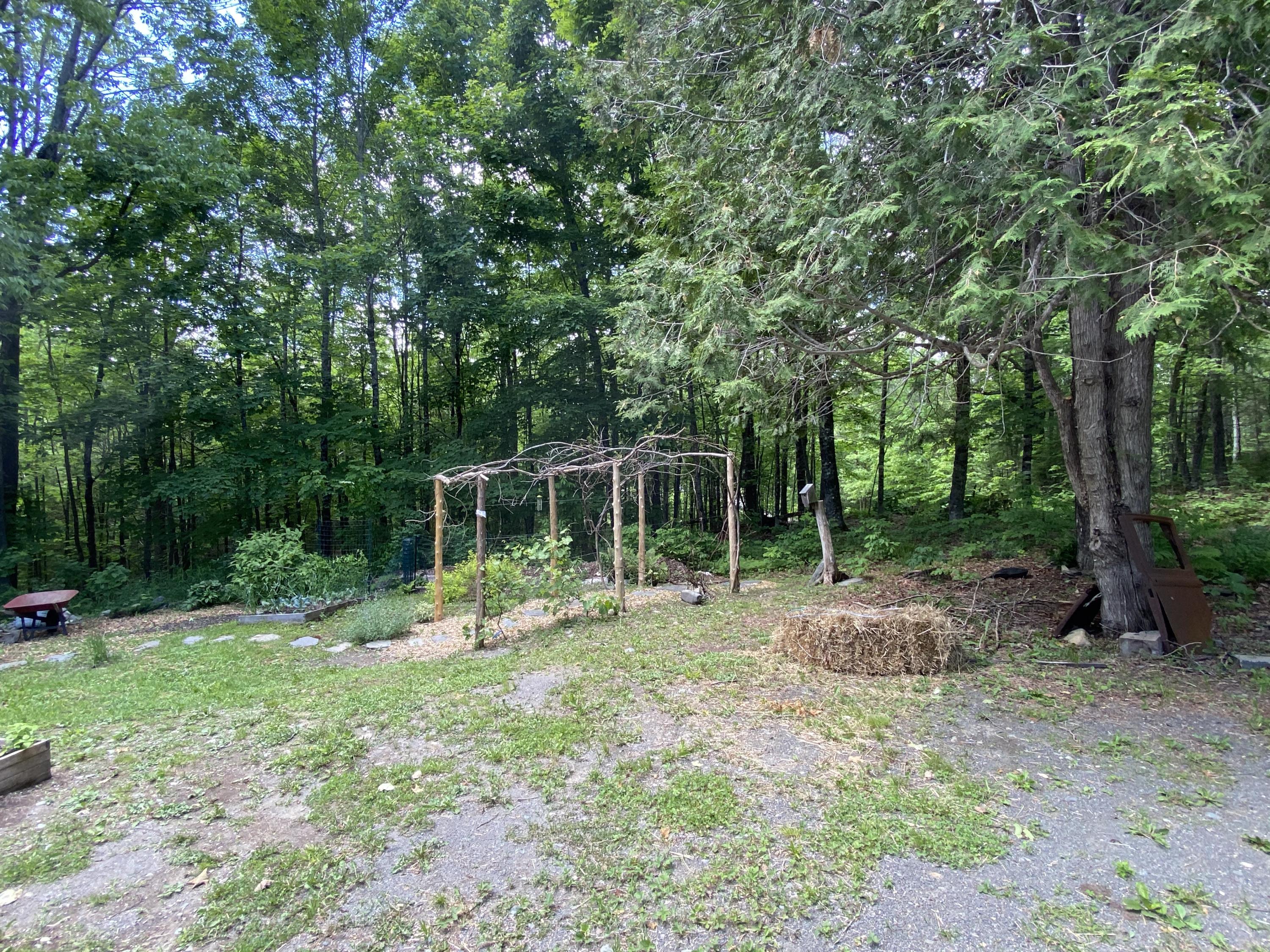 35 Leeman Road Abbot, ME 04406 - Photo 51 of 52 More Gardens