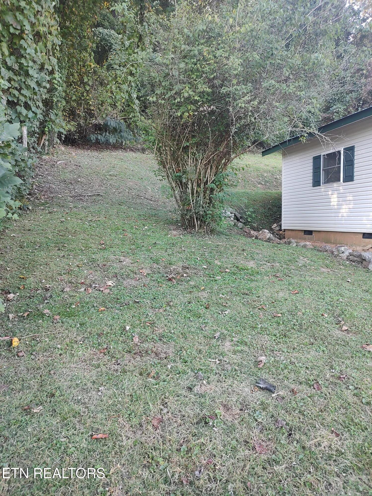 414 Hen Valley Road Oliver Springs, TN 37840 - Photo 19 of 23 IMG_20251016_172848880