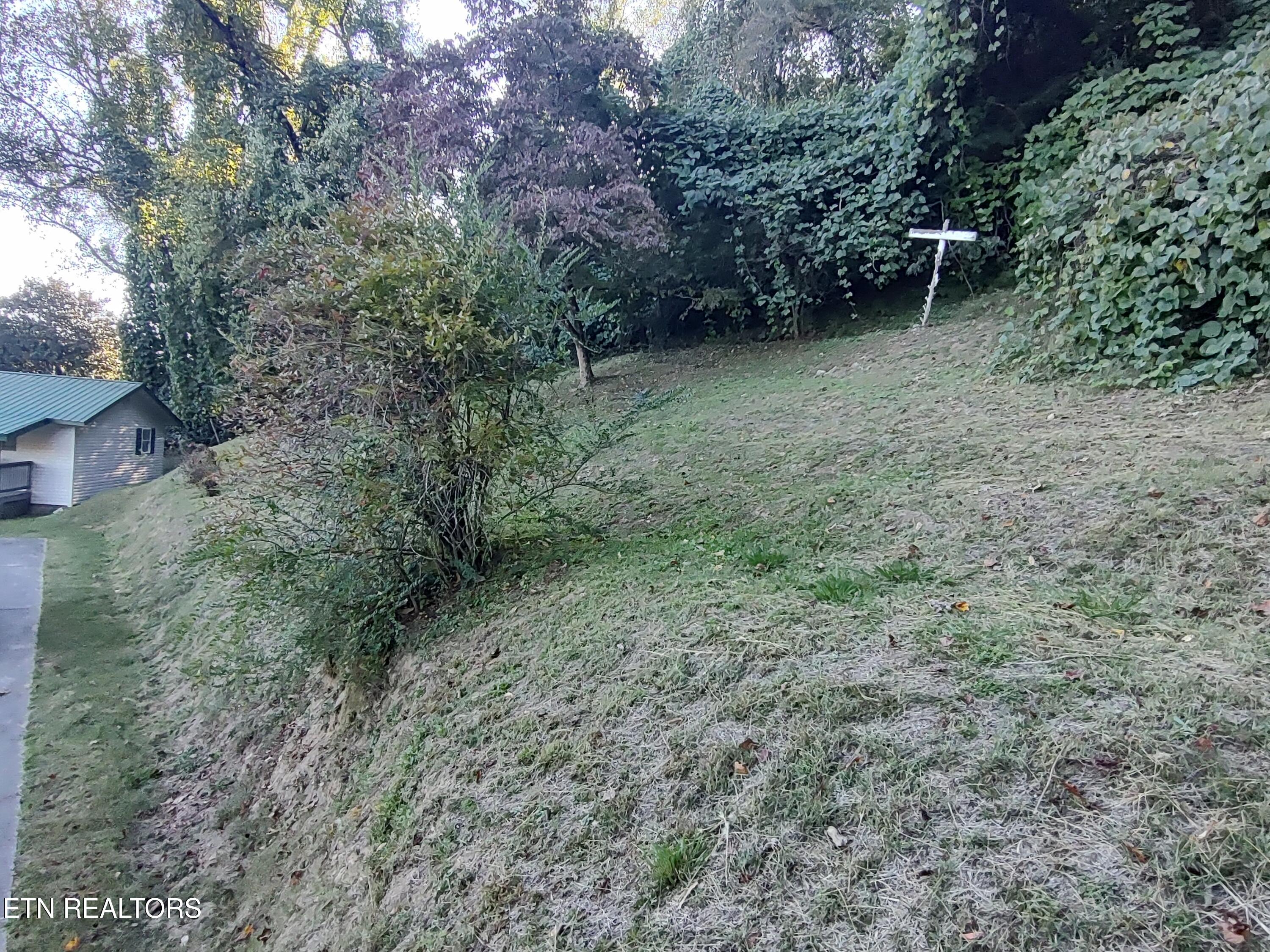 414 Hen Valley Road Oliver Springs, TN 37840 - Photo 21 of 23 IMG_20251016_173104258_HDR