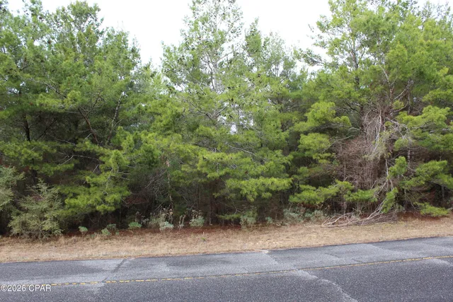 $15,000 | Lot 1 Cloverleaf Court, Chipley, FL 32428