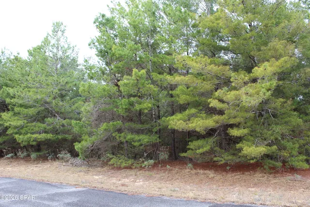 $15,000 | Lot 1 Cloverleaf Court, Chipley, FL 32428