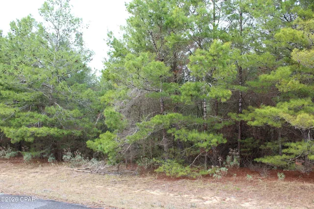 $15,000 | Lot 1 Cloverleaf Court, Chipley, FL 32428
