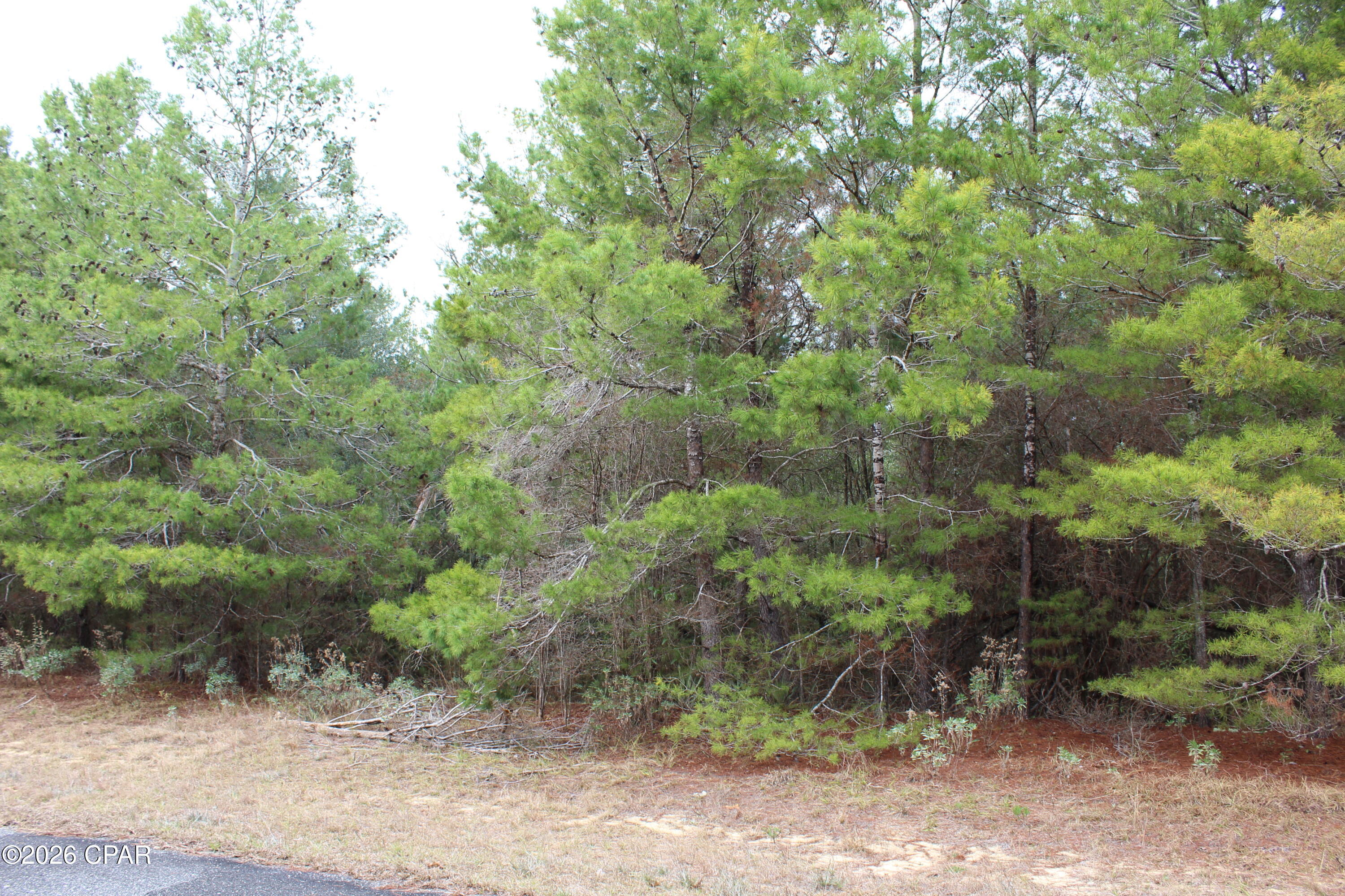 Lot 1 Cloverleaf Court Chipley, FL 32428 - Photo 4 of 5