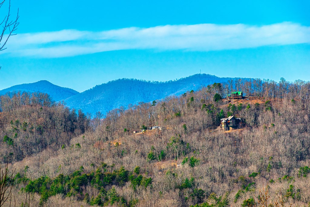 Lot 9 Scouts Overlook Morganton, GA 30560 - Photo 3 of 5 a view of a city with mountains in the background