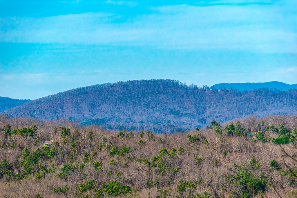 Lot 9 Scouts Overlook Morganton, GA 30560 - Photo 4 of 5 a view of a lush green field