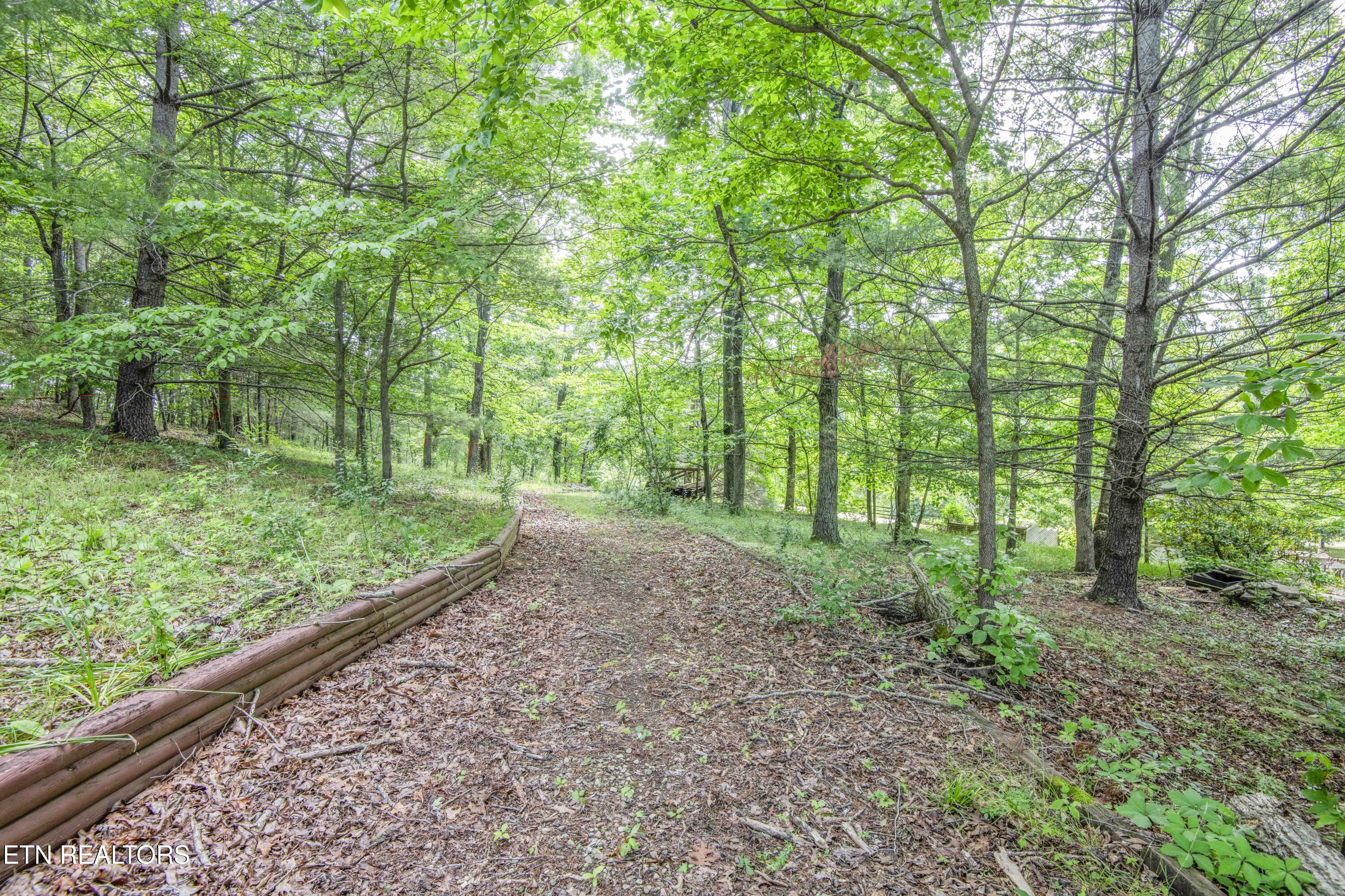 17761 Alberta Street Oneida, TN 37841 - Photo 46 of 56 yard 6_1
