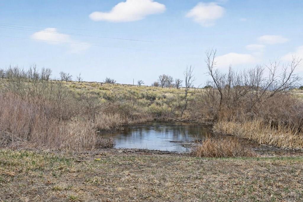 5146 County Road 550 Gardner, CO 81040 - Photo 45 of 50