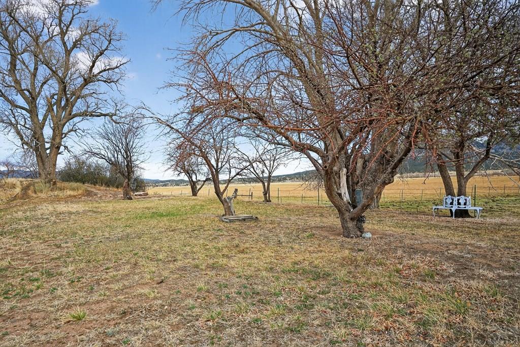 5146 County Road 550 Gardner, CO 81040 - Photo 46 of 50