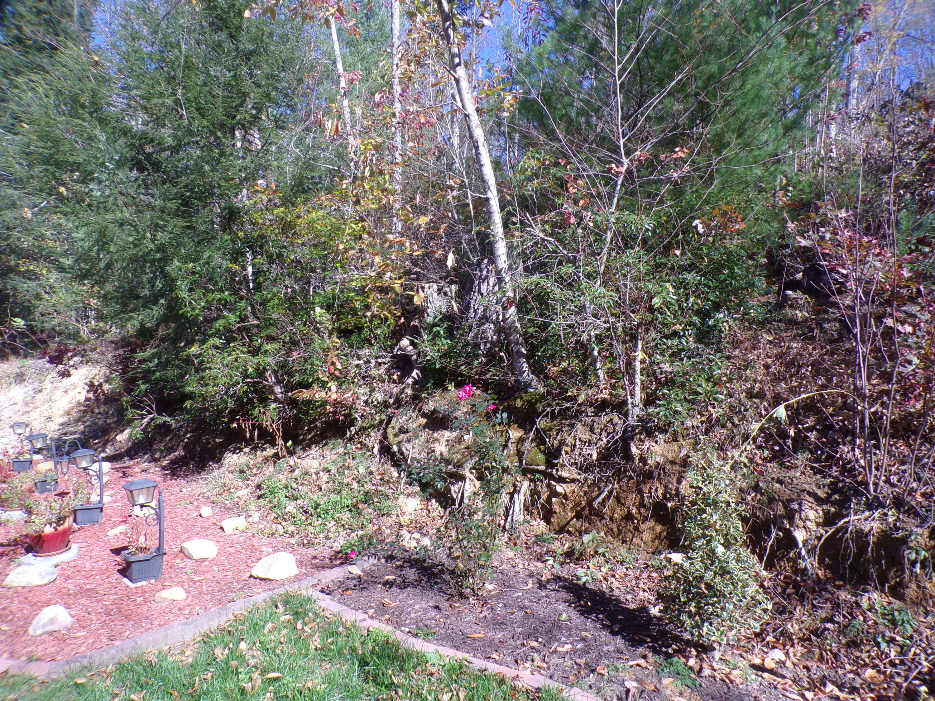 132 Water Tank Road Butler, TN 37640 - Photo 29 of 33 103_4398