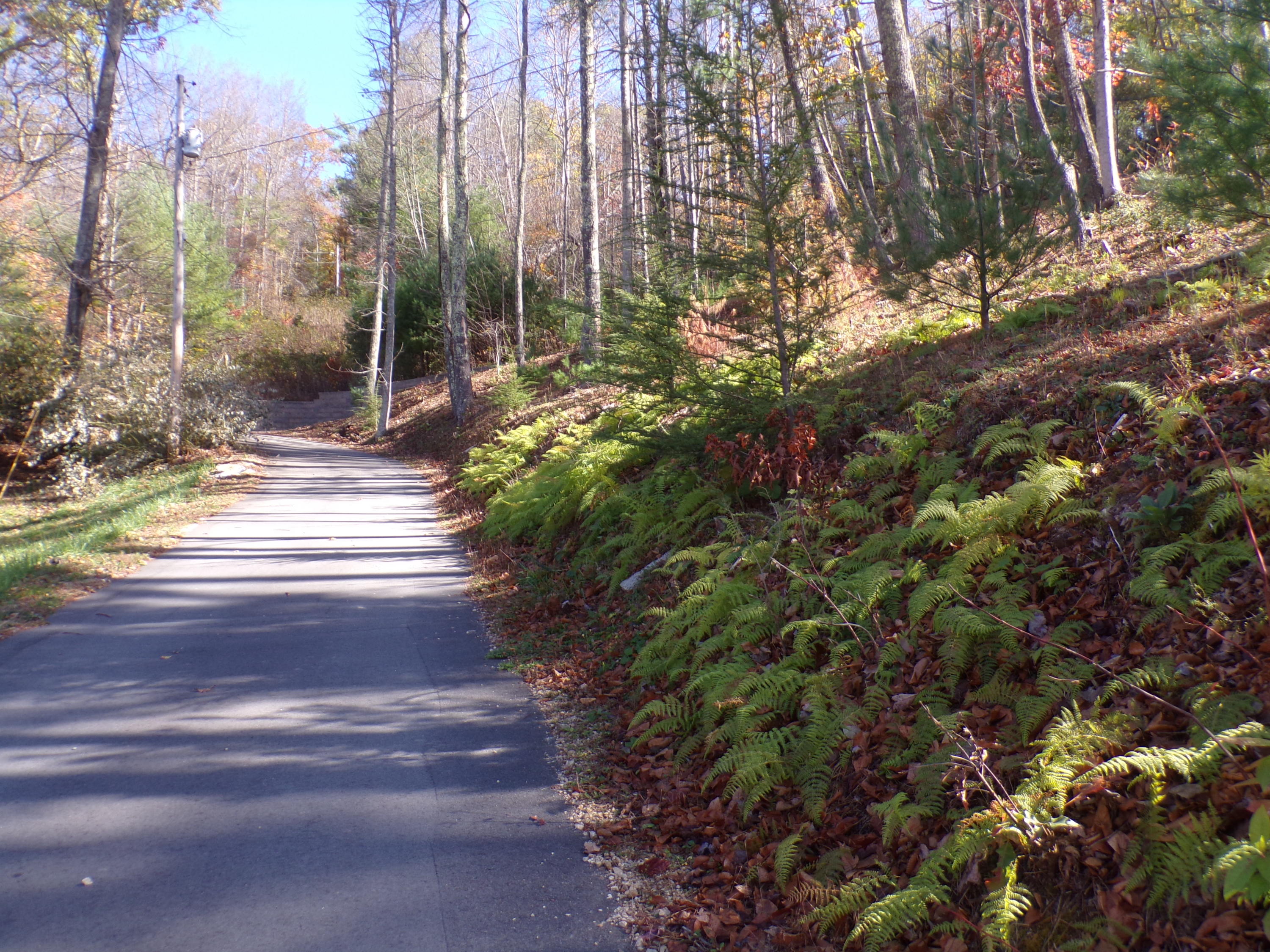 132 Water Tank Road Butler, TN 37640 - Photo 31 of 33 103_4460