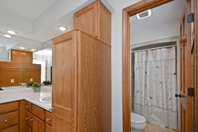 a bathroom with a toilet a sink and a mirror