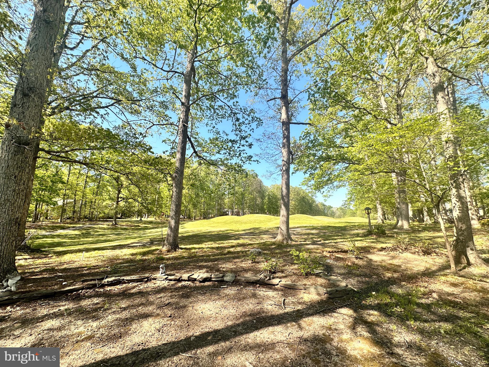 510 Birdie Road Locust Grove, VA 22508 - Photo 9 of 30