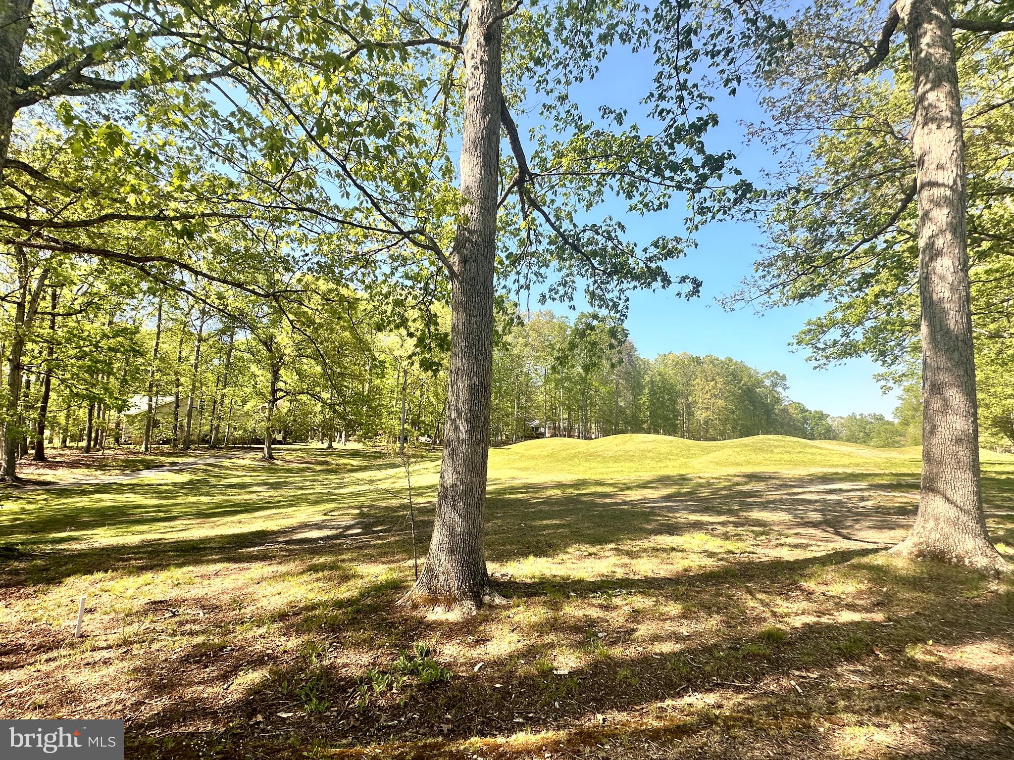 510 Birdie Road Locust Grove, VA 22508 - Photo 10 of 30