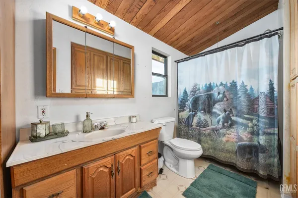 a bathroom with a sink a toilet and shower curtain