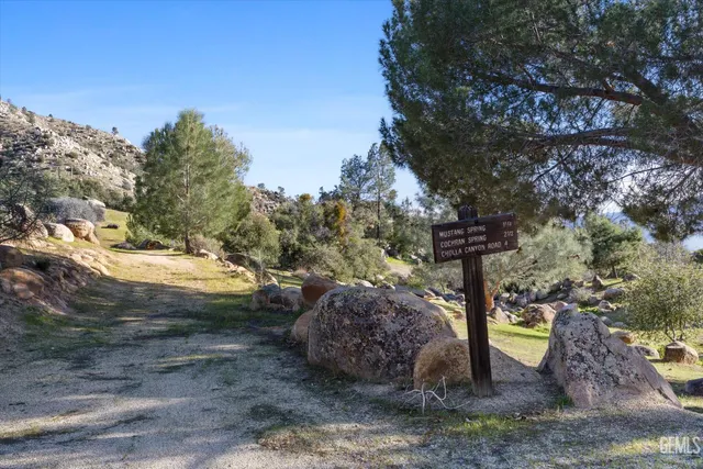 a view of a house with a mountain yard