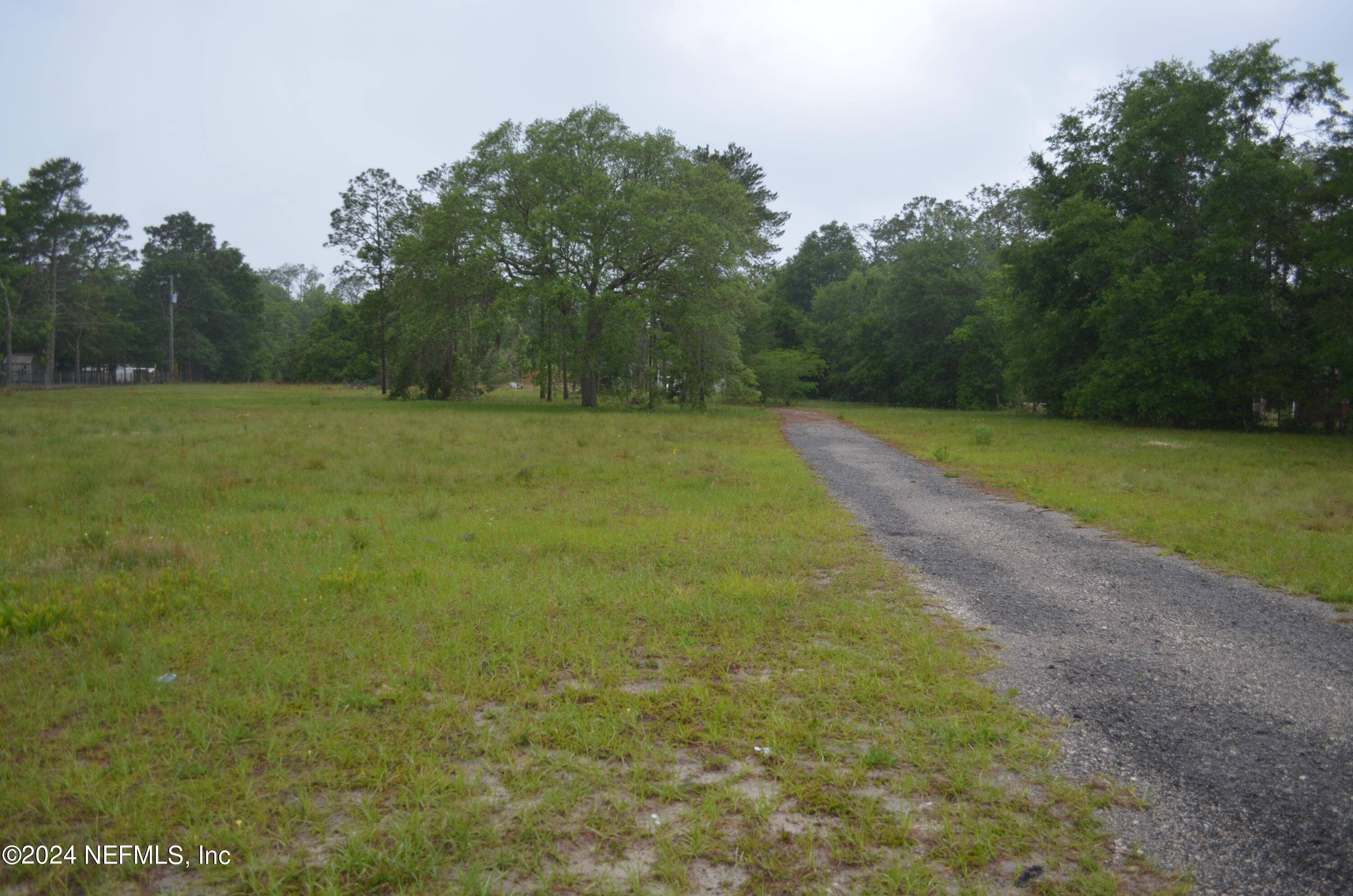 a view of a field with trees in the background