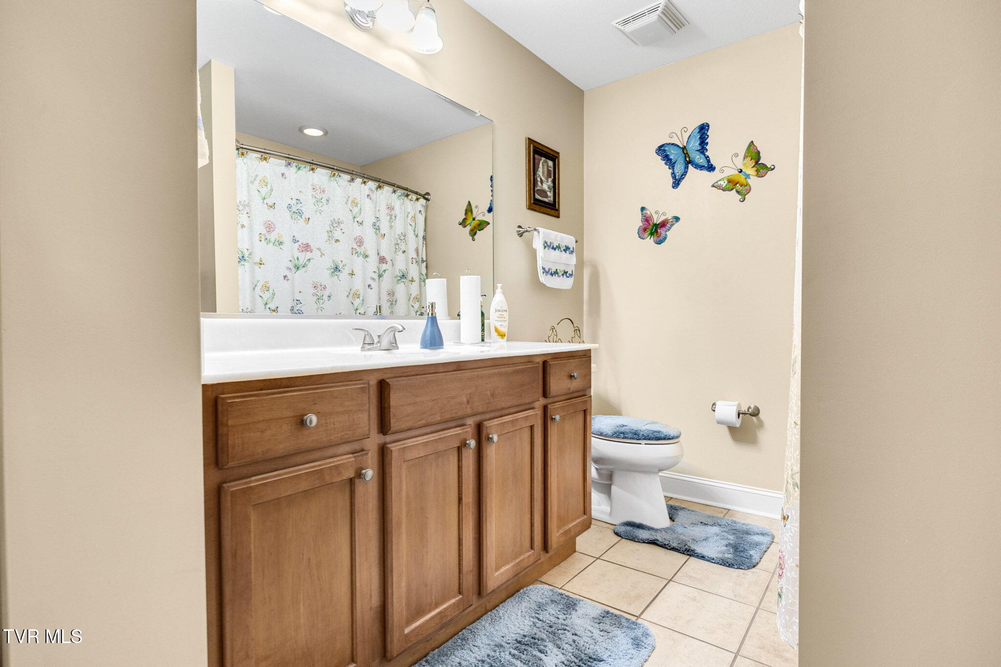 1294 Hatterdale Farm Road Blountville, TN 37617 - Photo 24 of 44 24