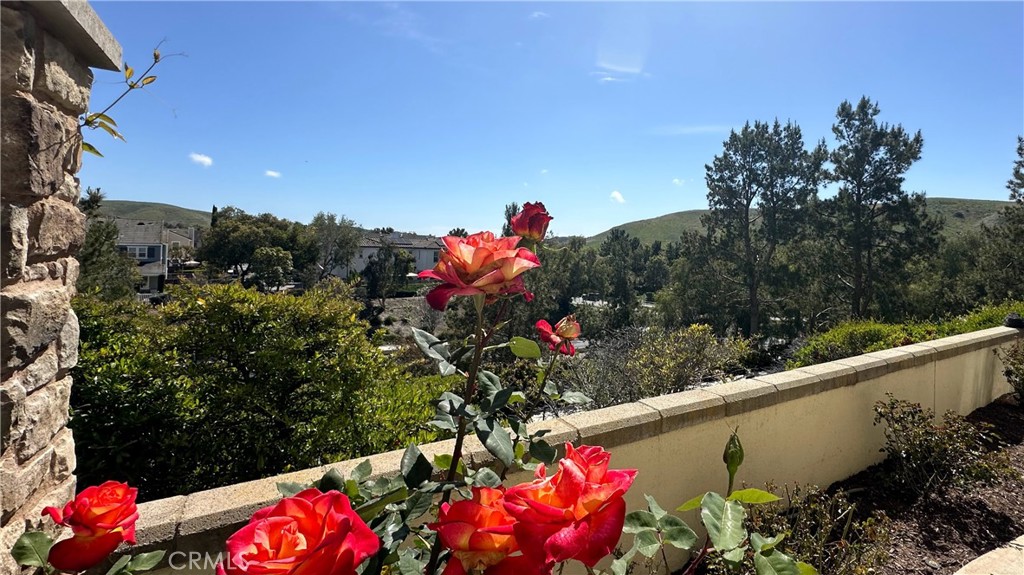 47 Bedstraw Loop Ladera Ranch, CA 92694 - Photo 36 of 44