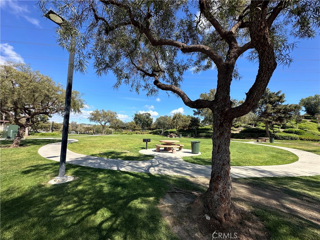 47 Bedstraw Loop Ladera Ranch, CA 92694 - Photo 42 of 44 a view of a yard with a tree