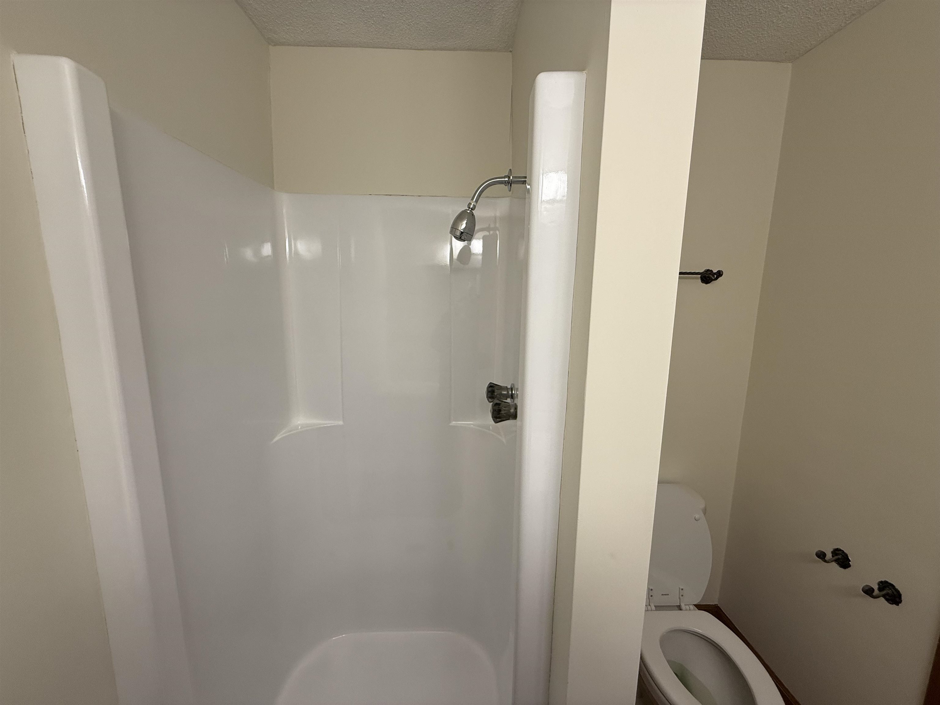 411 Double Branch Road Cowpens, SC 29330 - Photo 17 of 48