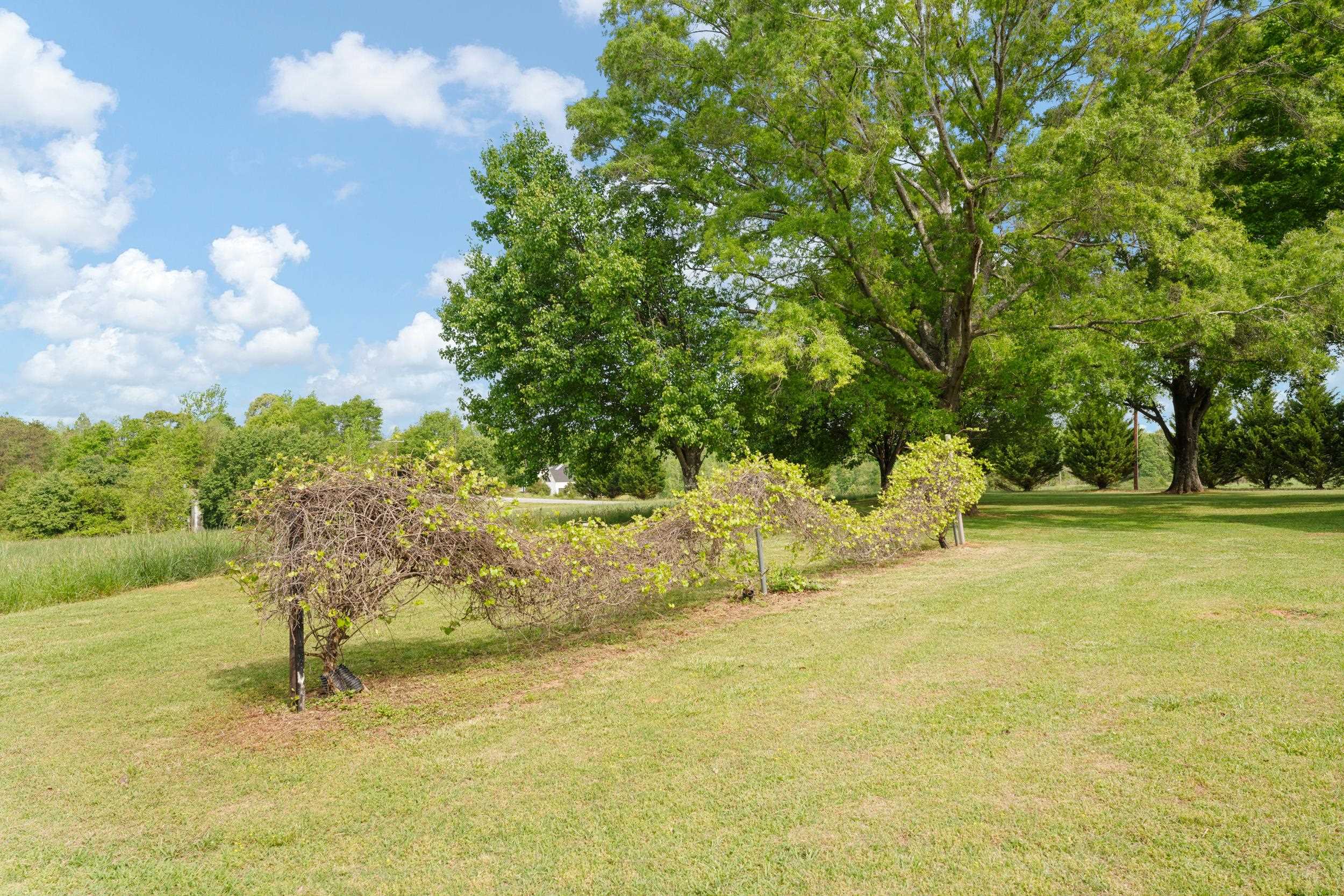 411 Double Branch Road Cowpens, SC 29330 - Photo 43 of 48