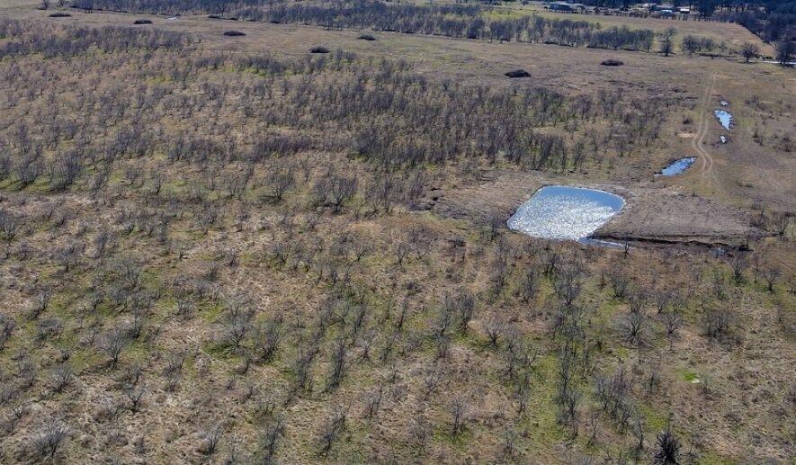Tbd Southwest 4120 Dawson, TX 76639 - Photo 15 of 15 a view of a dry yard