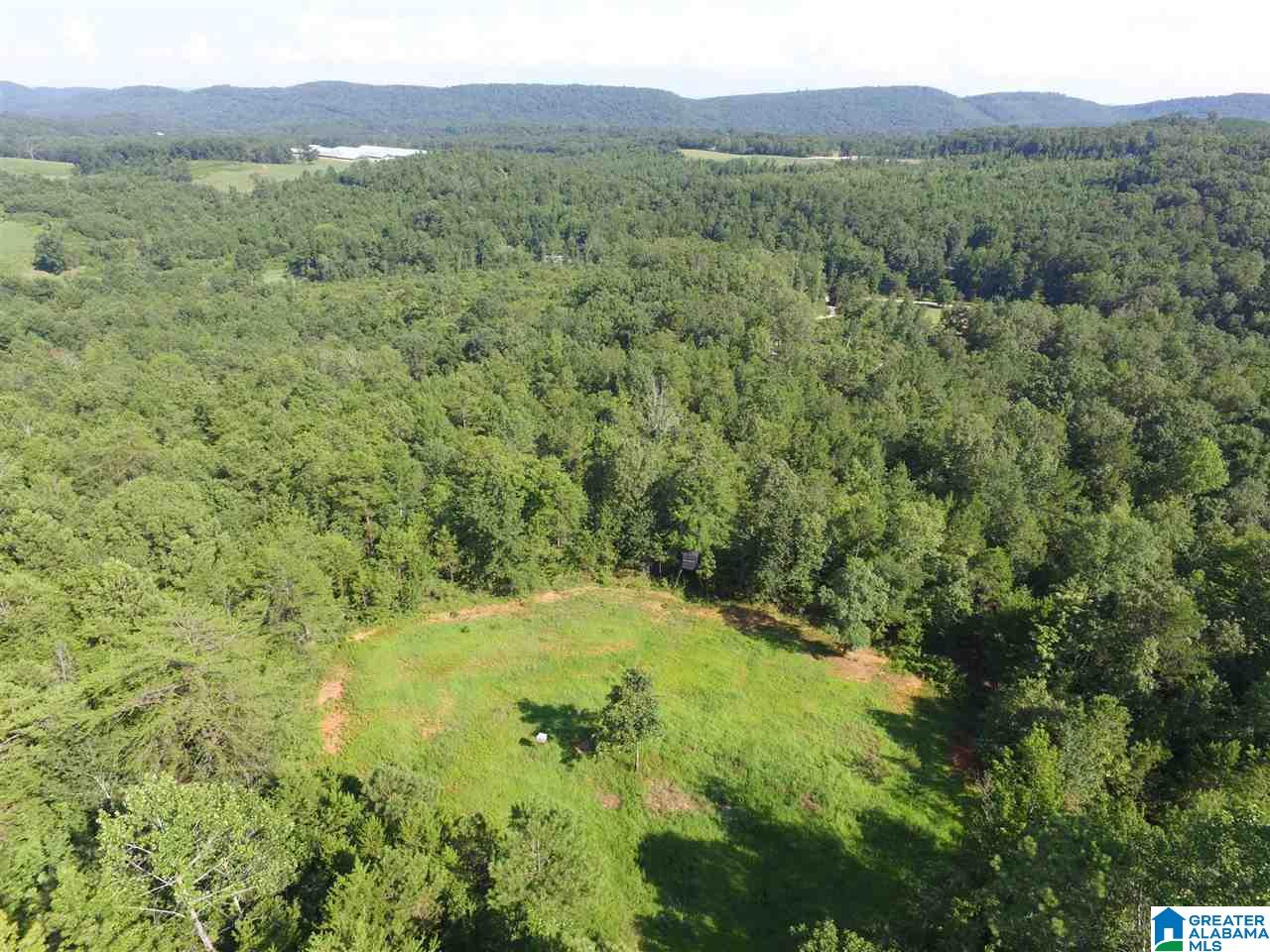 0 Carnes Chapel Road, Unit 113 Gallant, AL 35972 - Photo 18 of 32