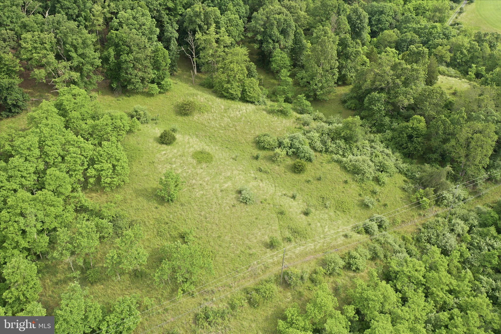 11.95-ac Luxemburg Road Baker, WV 26801 - Photo 23 of 23