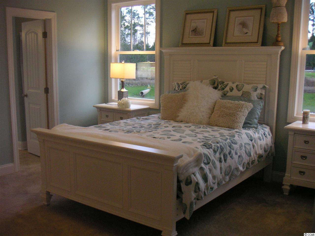 Tbd Waties Drive Murrells Inlet, SC 29576 - Photo 10 of 10 Gallery Image 10